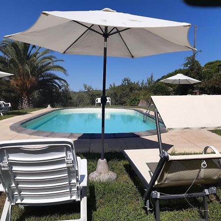 Agriturismo Poggio Al Tesoro Crespina Екстер'єр фото