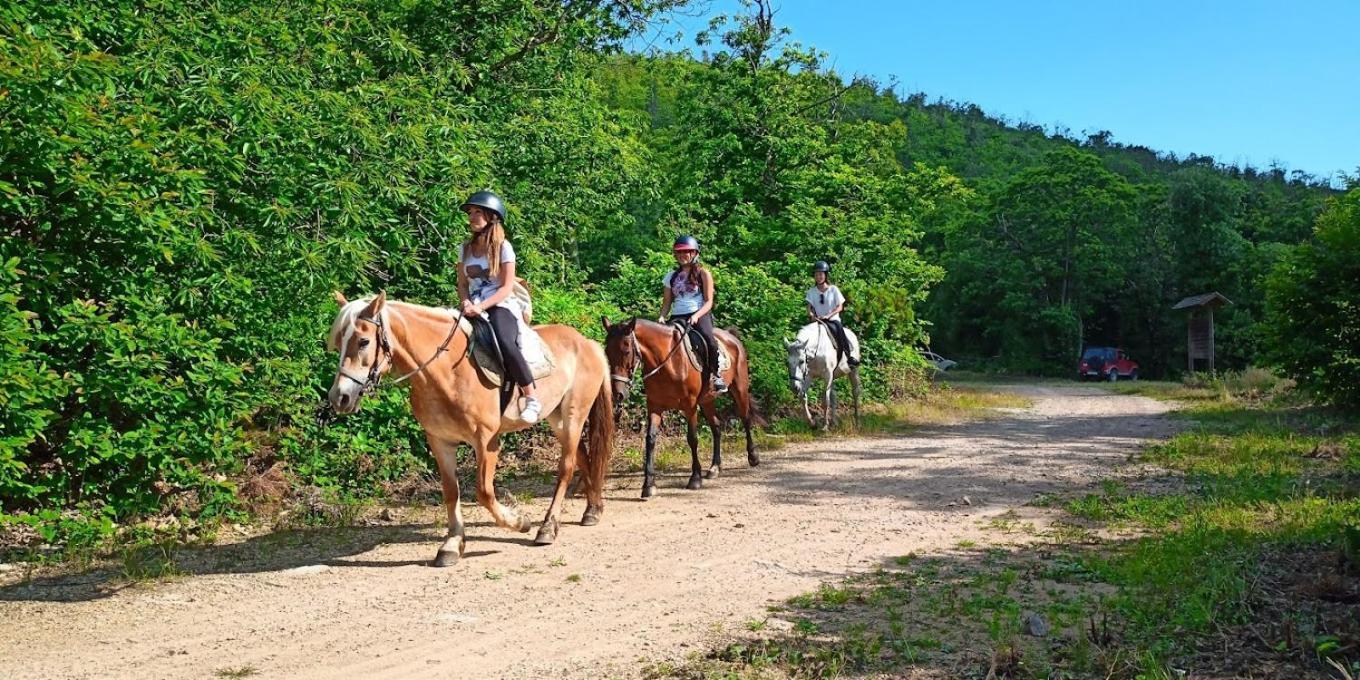 Agriturismo Poggio Al Tesoro Crespina Екстер'єр фото