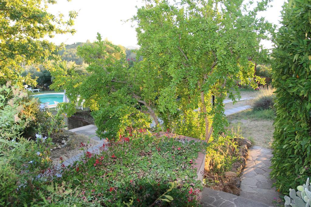 Agriturismo Poggio Al Tesoro Crespina Екстер'єр фото